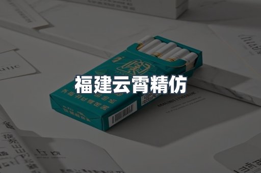 福建云霄精仿
